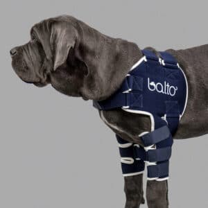 balto shoulder brace for dogs canine orthepedics