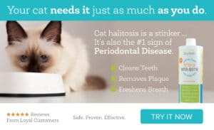 Oxyfresh Cat Halitosis