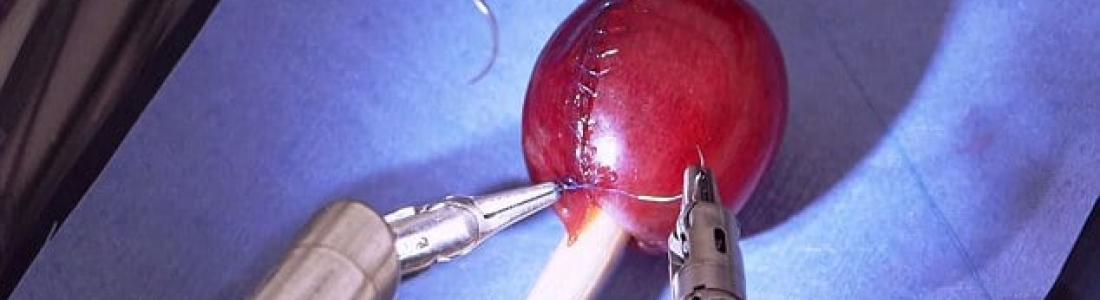 DAVINCI: a robot capable of perfectly stitching together Grape Skin [VIDEO].