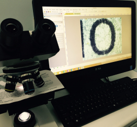Scientific Equipment – Veterinary Microscopes