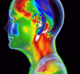 Thermography System at Amchara Resort