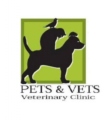 Contract for services – Pets and Vets